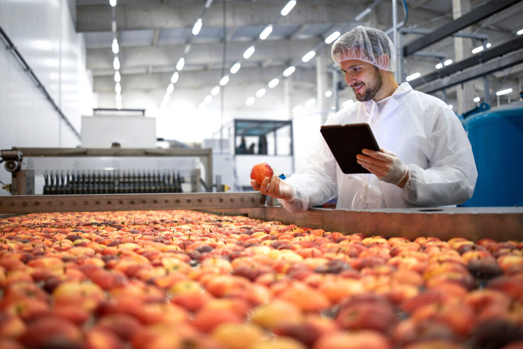 Technologist in food processing factory controlling process of a